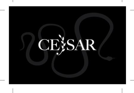 logo cejsar org